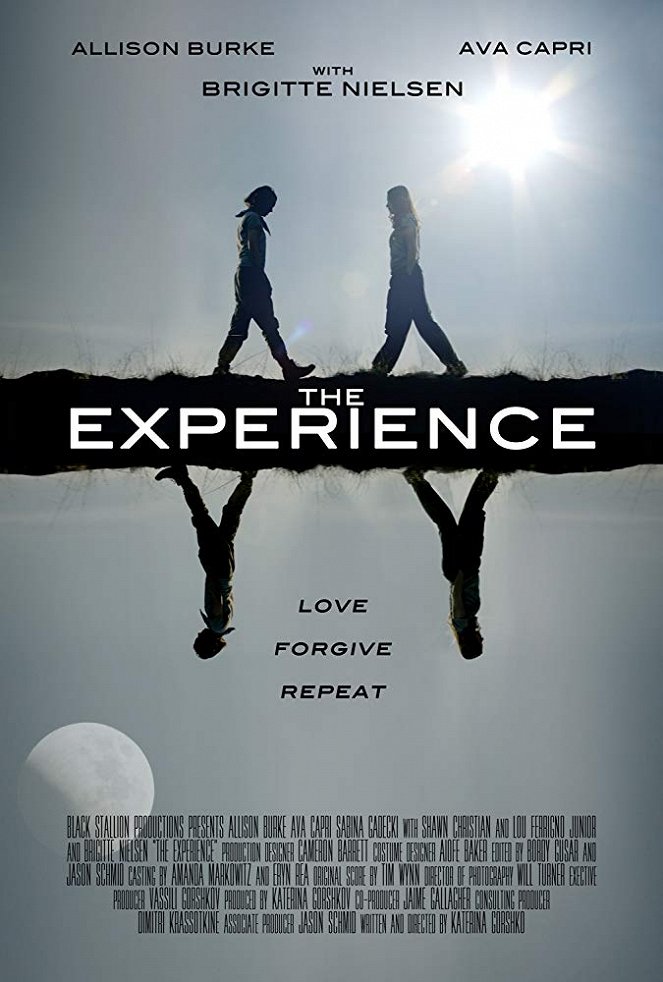 The Experience - Affiches