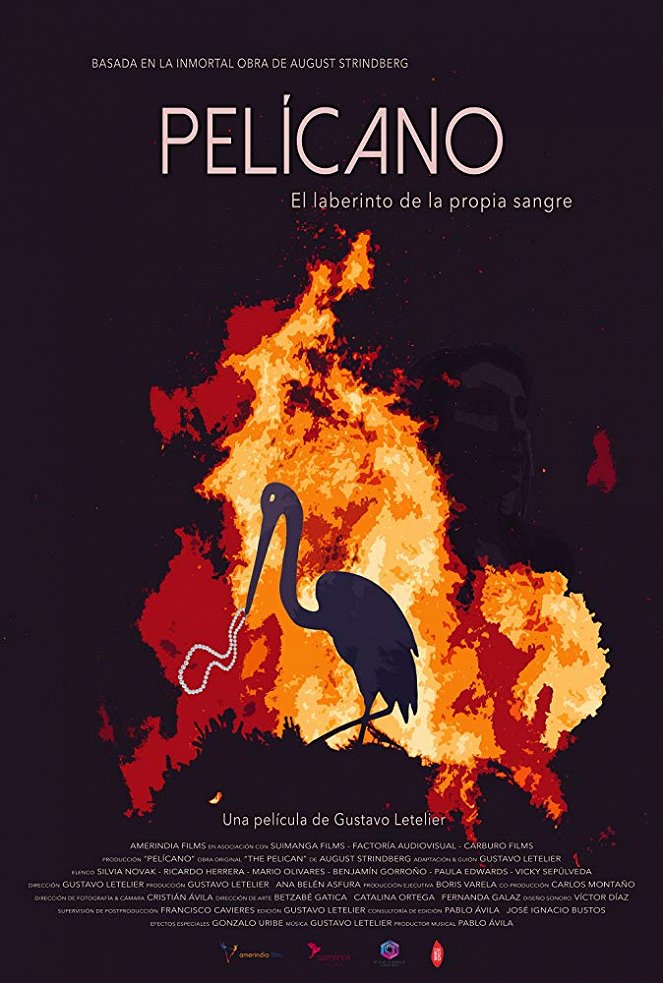 Pelícano - Plakate