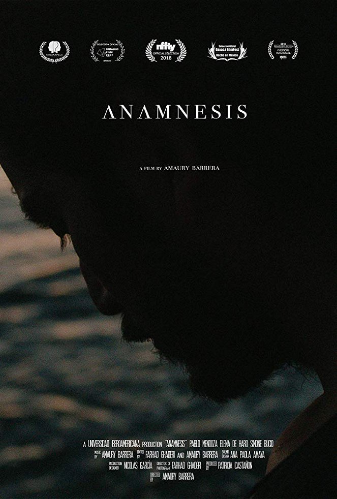 Anamnesis - Affiches