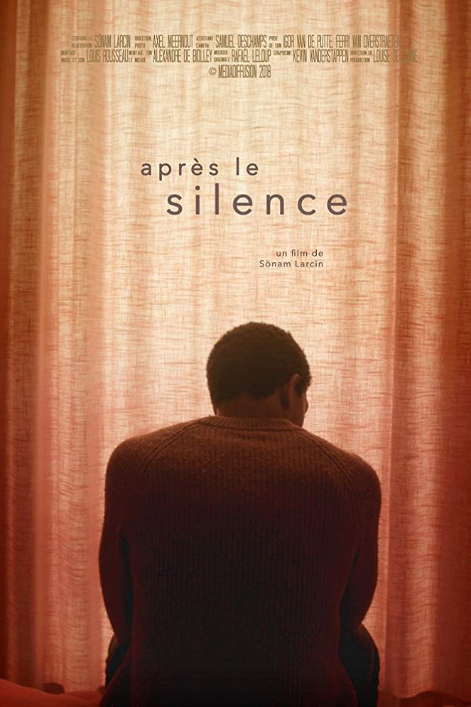 Après le silence - Plagáty