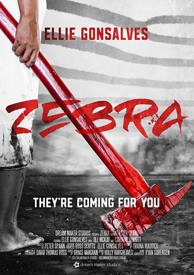 Zebra - Posters
