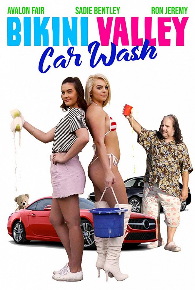 Bikini Valley Car Wash - Affiches