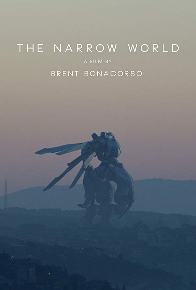 The Narrow World - Affiches
