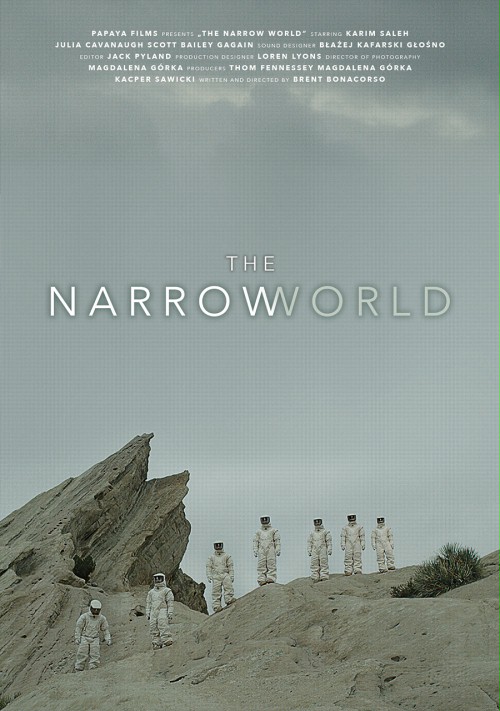 The Narrow World - Affiches