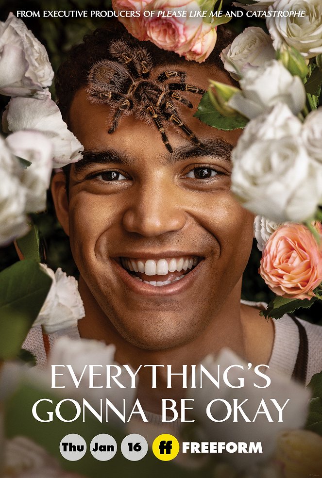 Everything's Gonna Be Okay - Everything's Gonna Be Okay - Season 1 - Plakate