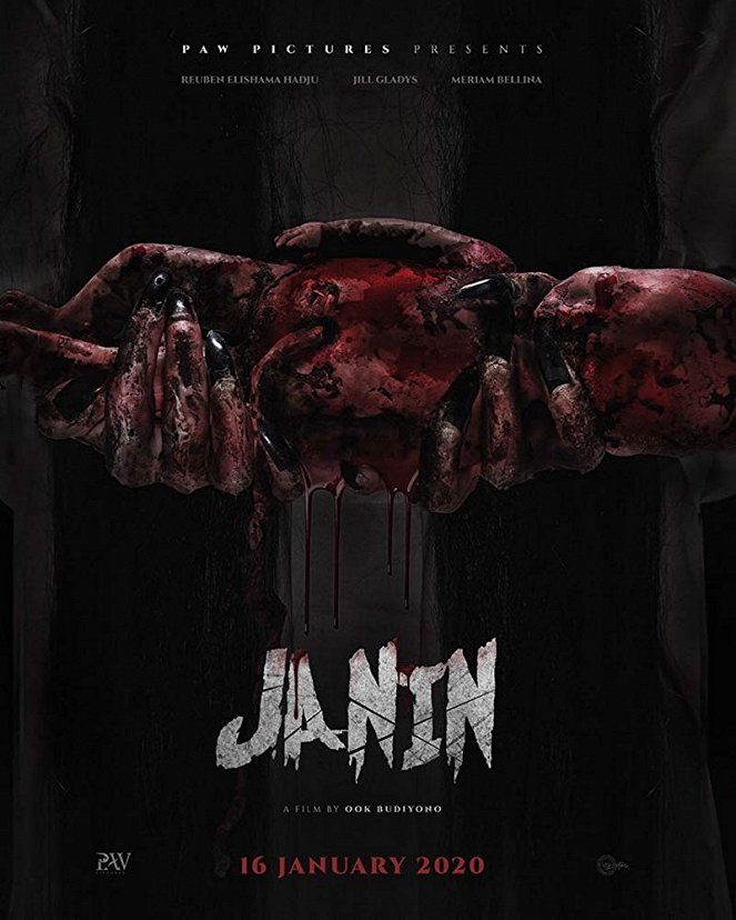 Janin - Affiches