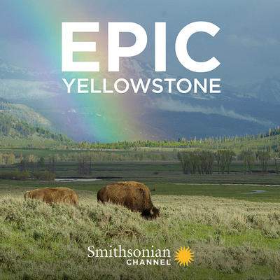 Impozantný Yellowstone - Plagáty