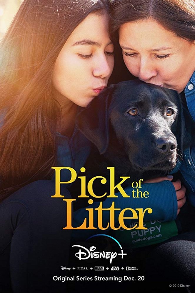 Pick of the Litter - Cartazes