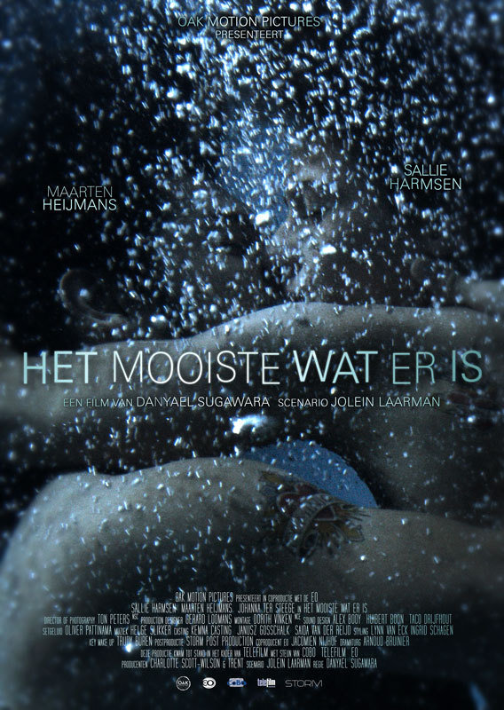 Het mooiste wat er is - Affiches