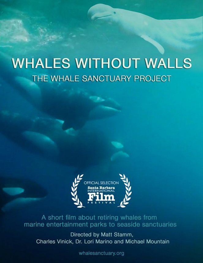 Whales Without Walls - Affiches