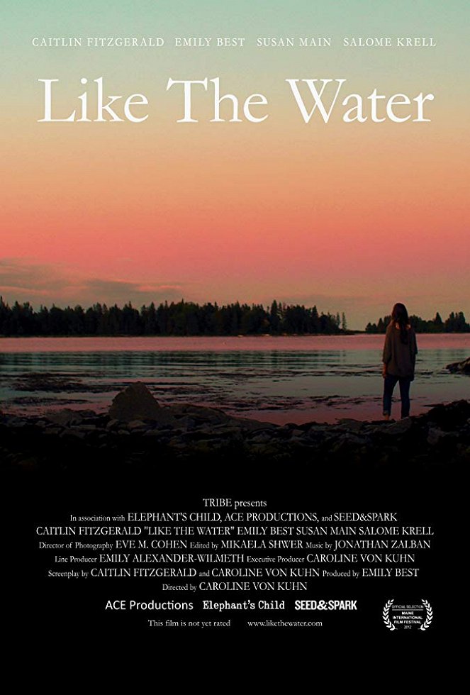 Like the Water - Affiches