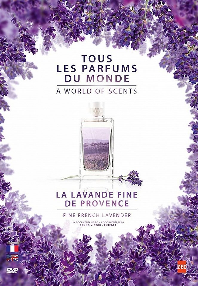 Tous les parfums du monde - La Lavande Fine de Provence - Carteles