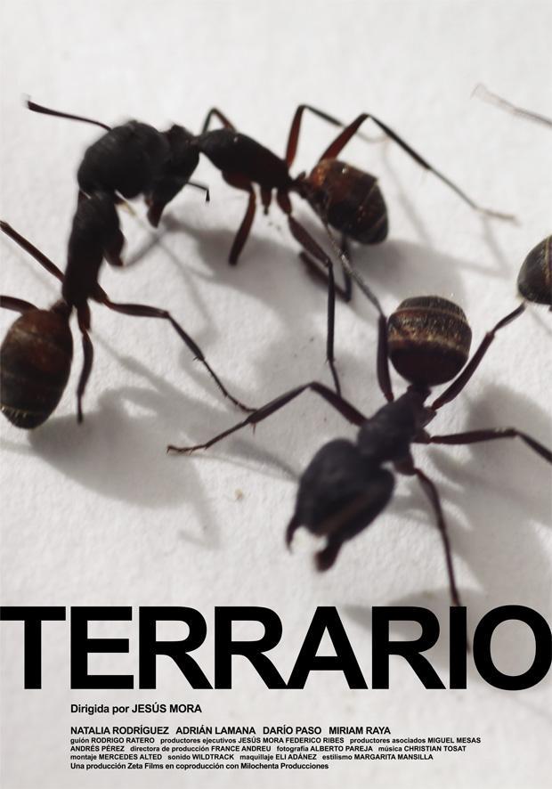 Terrario - Plagáty