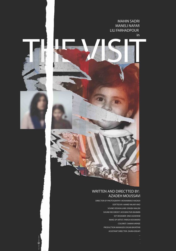 The Visit - Affiches