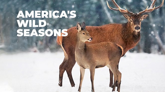 Die Wildnis der USA: Vier Jahreszeiten - Plakate