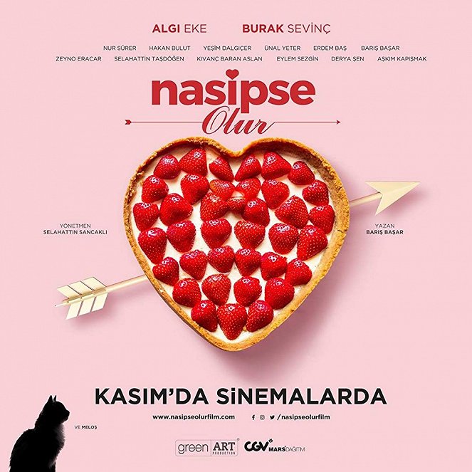 Nasipse Olur - Plakate