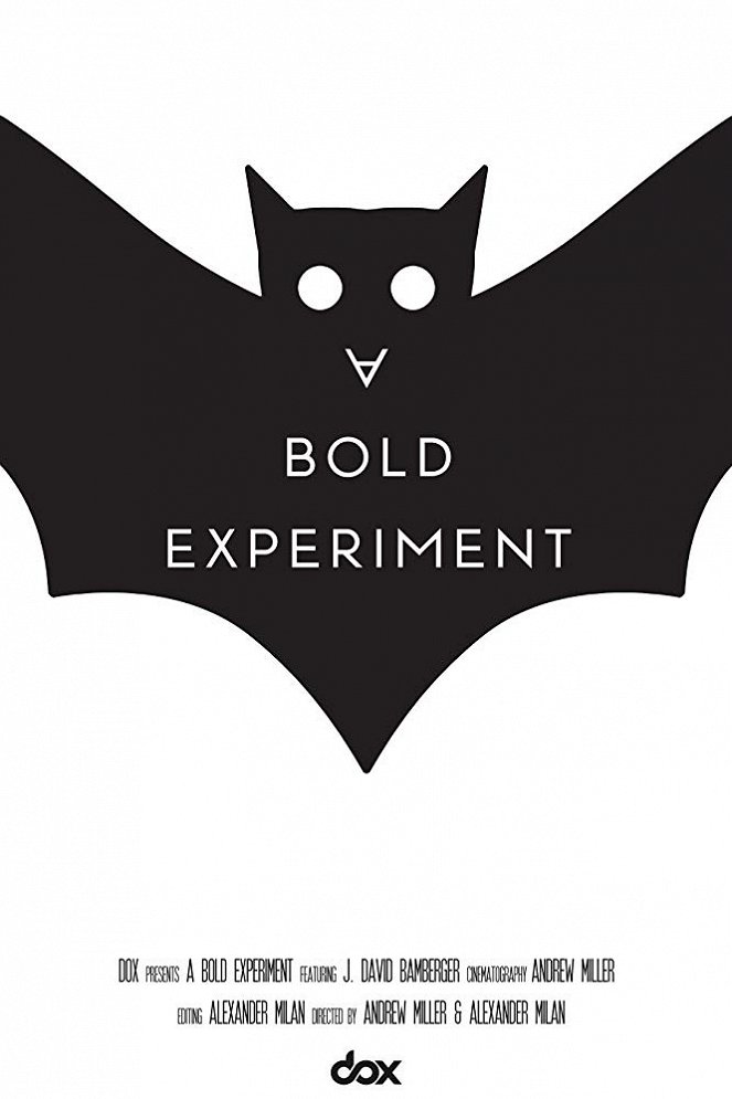 A Bold Experiment - Julisteet