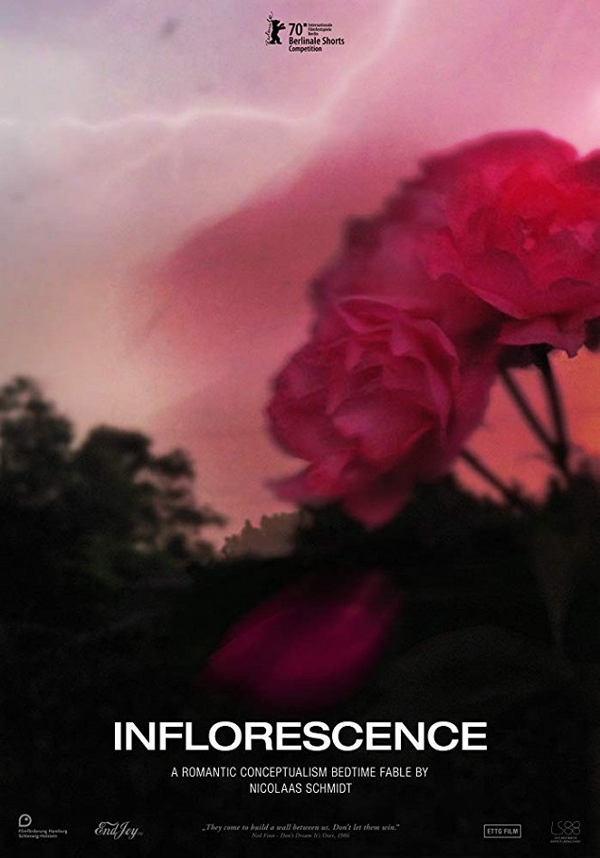 Inflorescence - Plakate