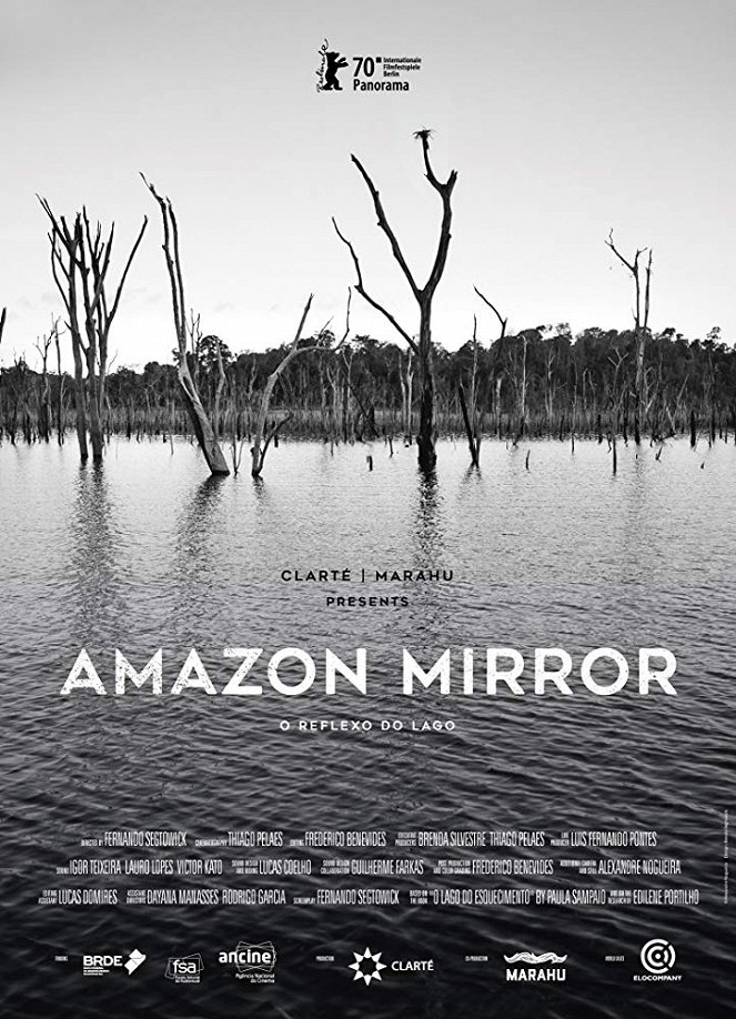 Amazon Mirror - Posters