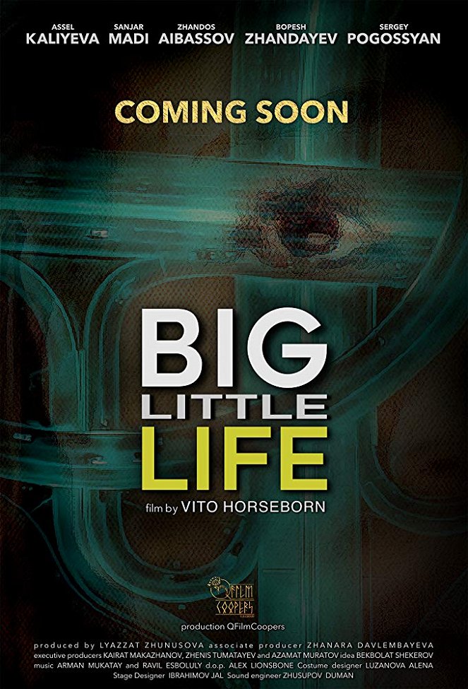 Big Little Life - Posters