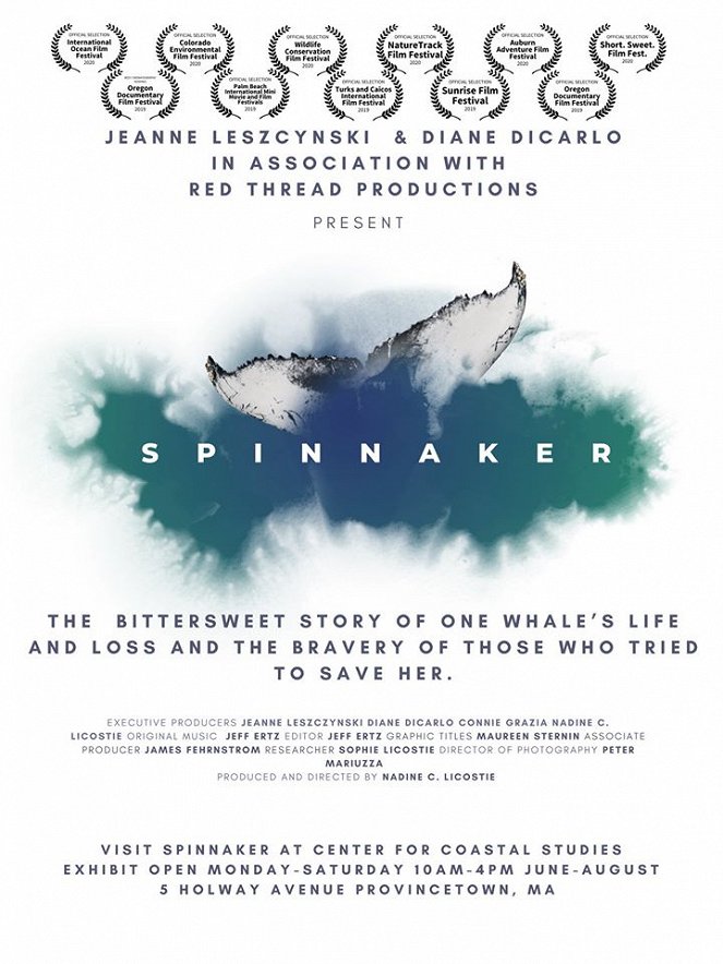 Spinnaker - Plakátok