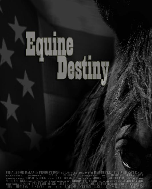 Equine Destiny - Cartazes