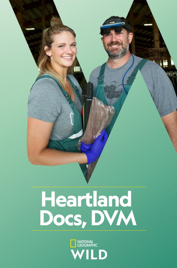 Heartland Docs, DVM - Affiches