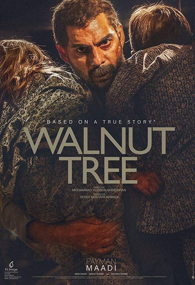 Walnut Tree - Posters