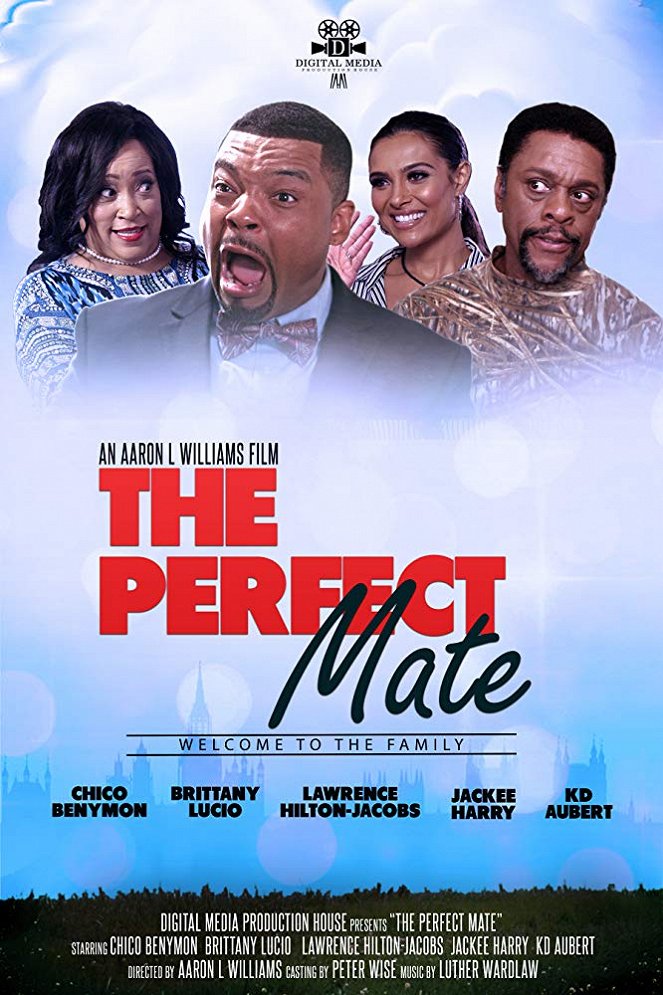 The Perfect Mate - Carteles