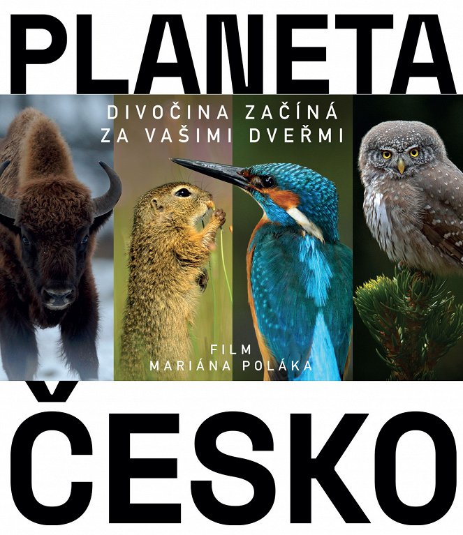 Planeta Česko - Plakate