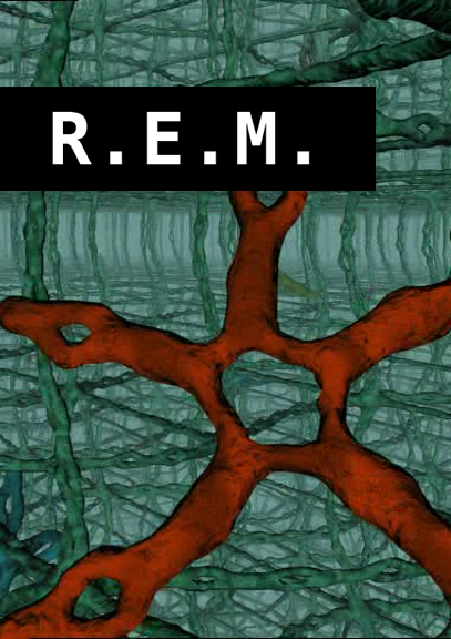 R.E.M. - Julisteet