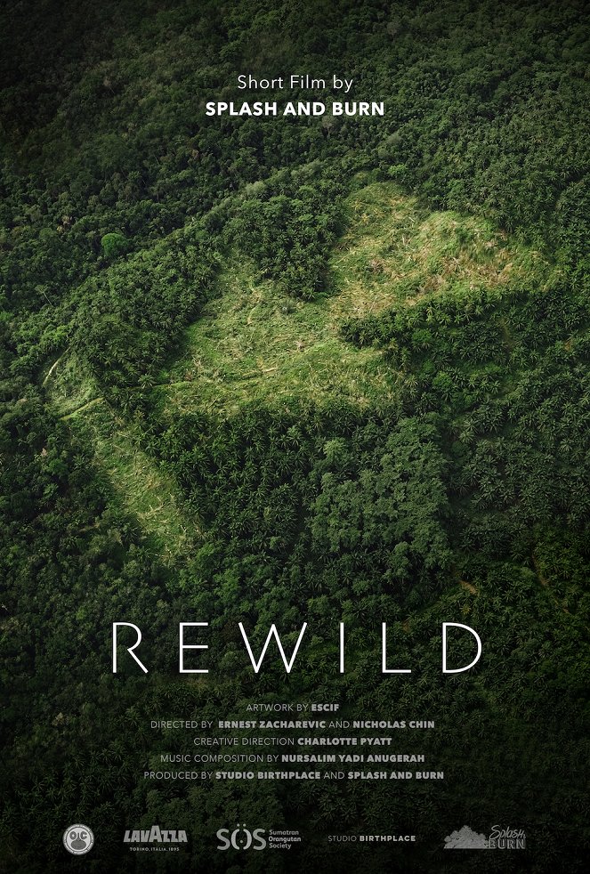 Rewild - Affiches