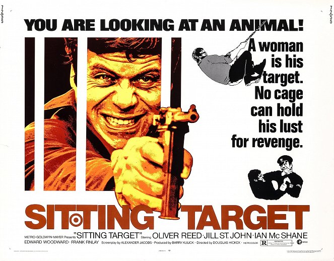 Sitting Target - Posters