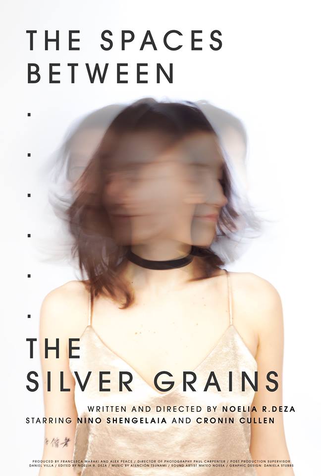 The Spaces Between the Silver Grains - Plagáty