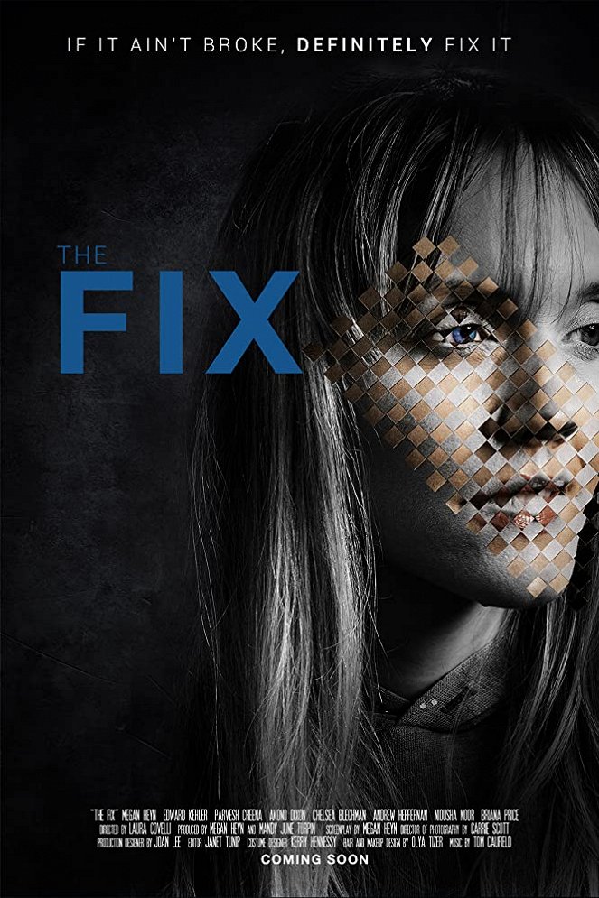 The Fix - Plakaty