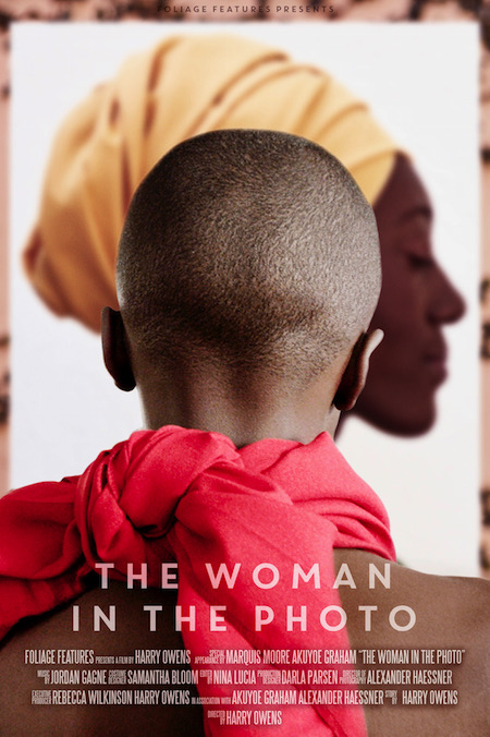 The Woman in the Photo - Cartazes