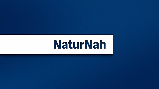 NaturNah - Plakátok