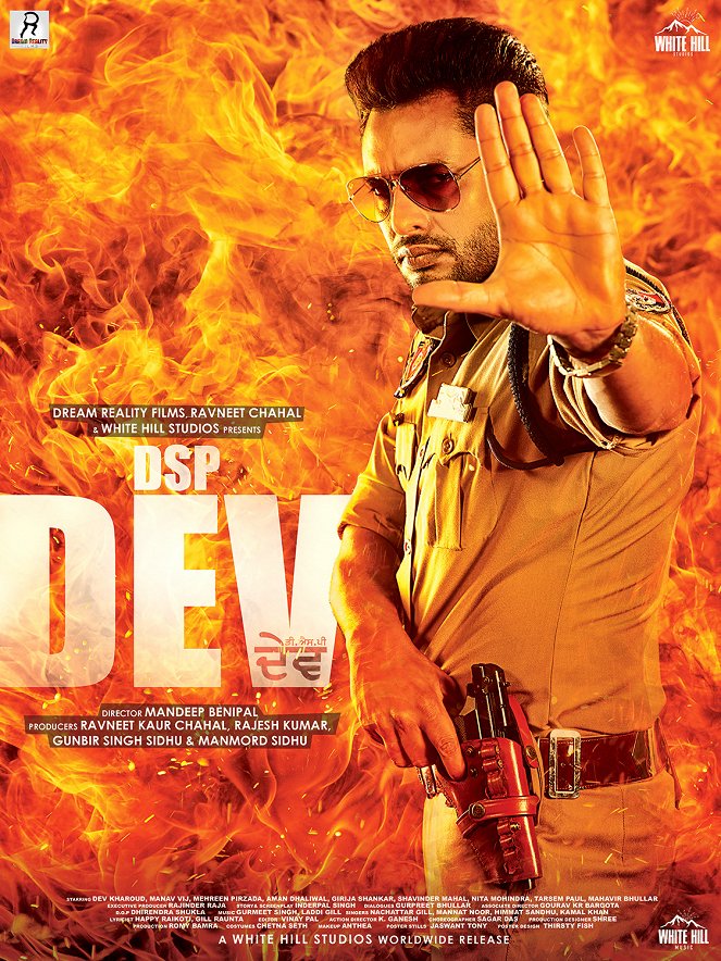 DSP Dev - Plakate