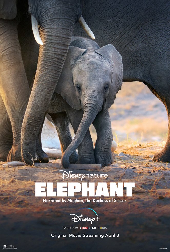Elephant - Plakátok