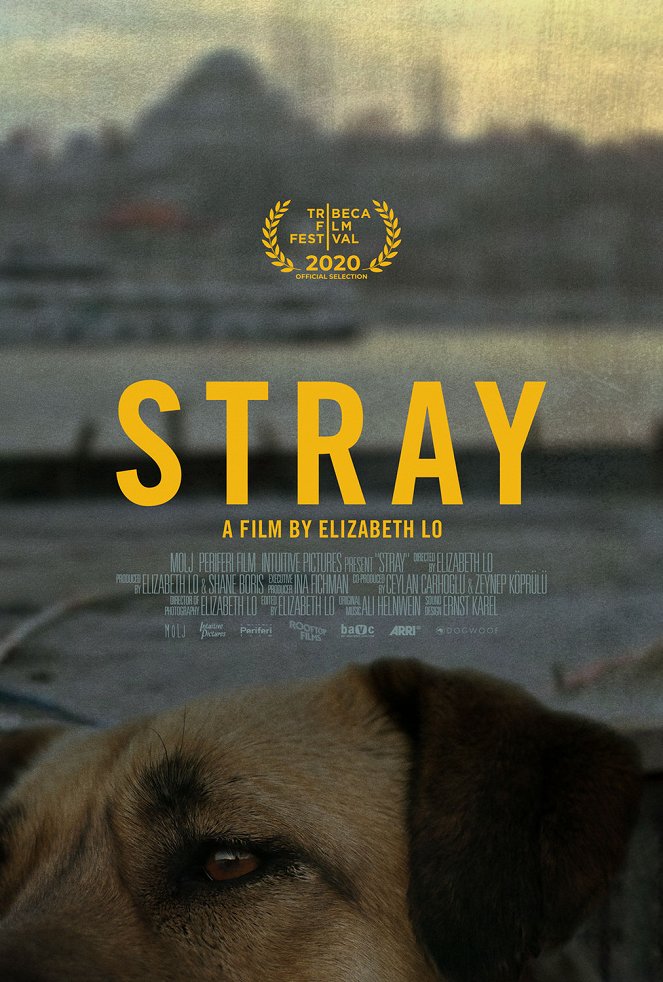 Stray : Le monde des chiens errants - Affiches