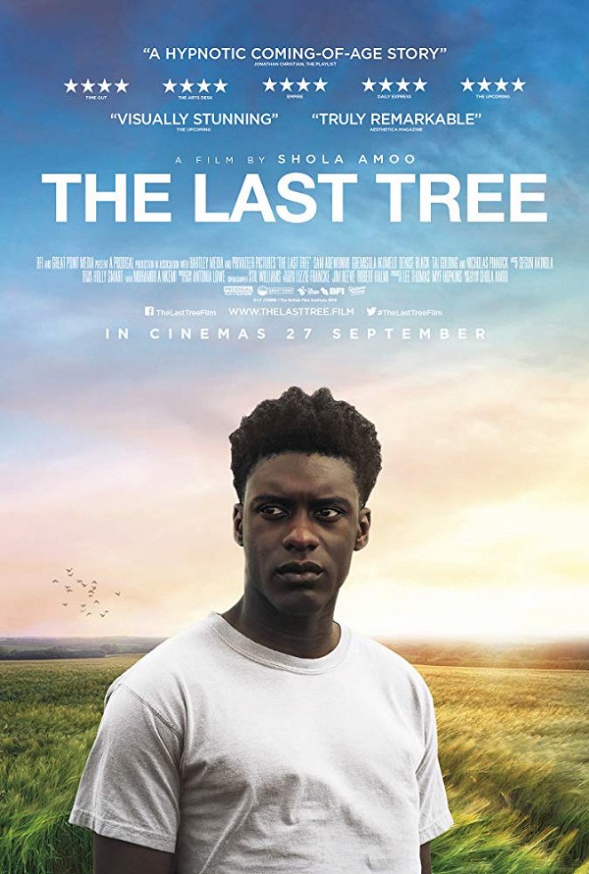 The Last Tree - Affiches