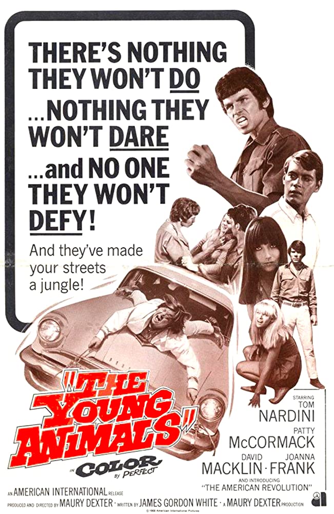 The Young Animals - Affiches
