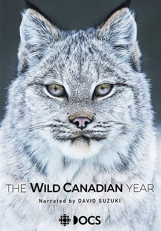 Une année dans le Canada sauvage - Affiches