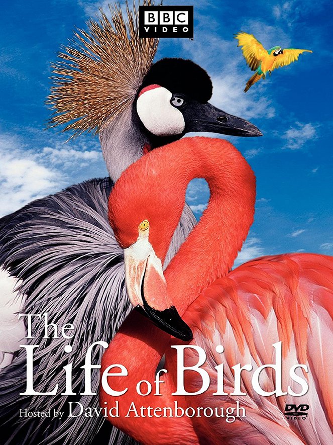 Život vtákov - Plagáty