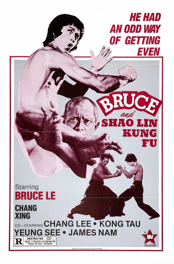 Bruce and Shaolin Kung Fu - Posters