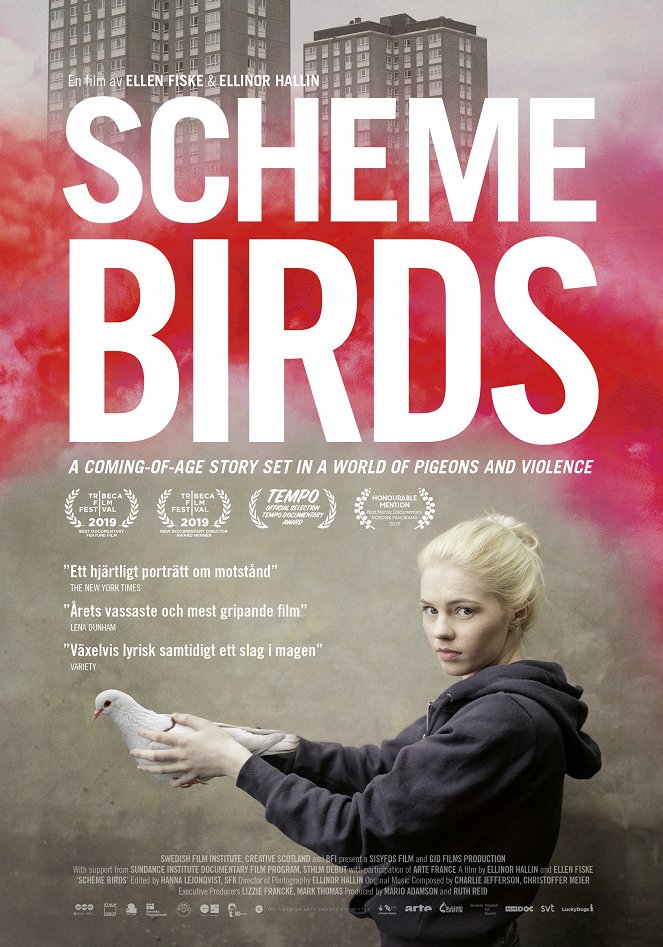 Scheme Birds - Posters