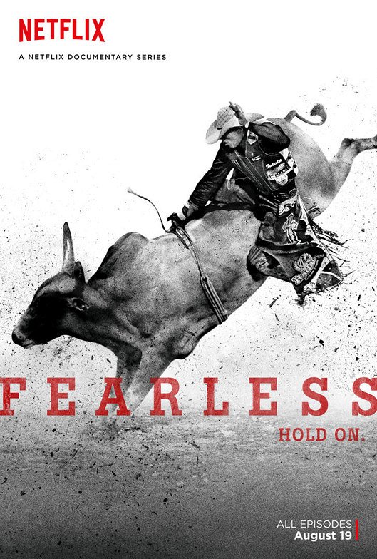 Fearless - Carteles