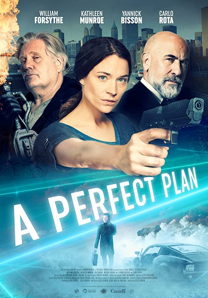A Perfect Plan - Plakátok