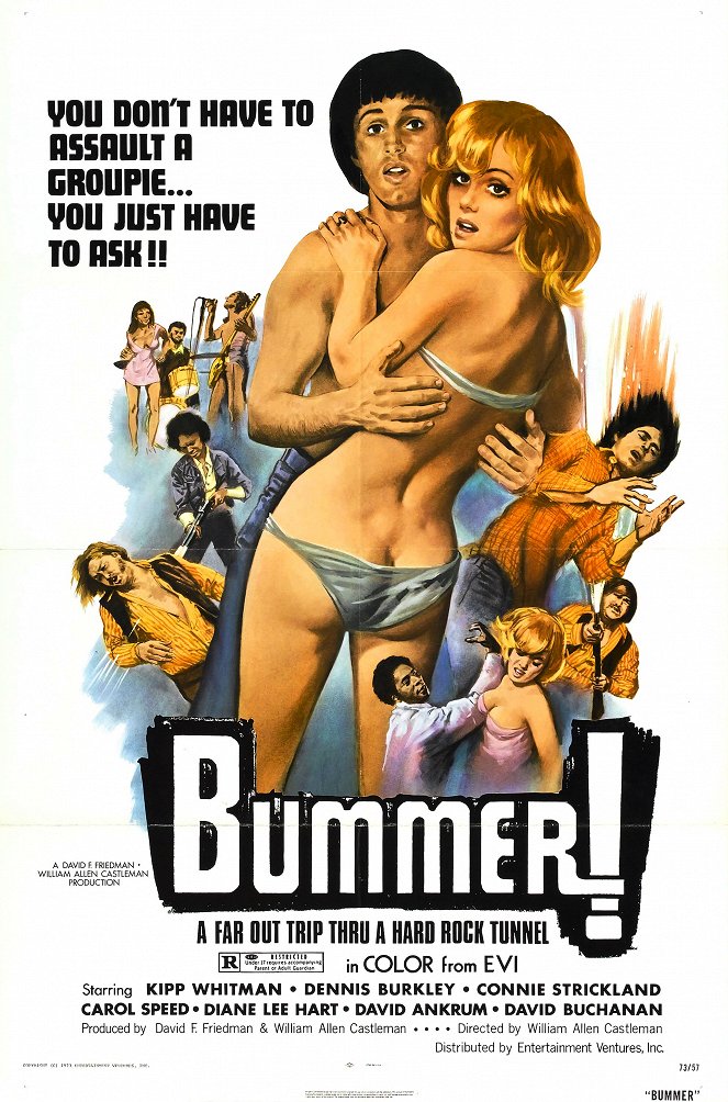 Bummer! - Plakáty