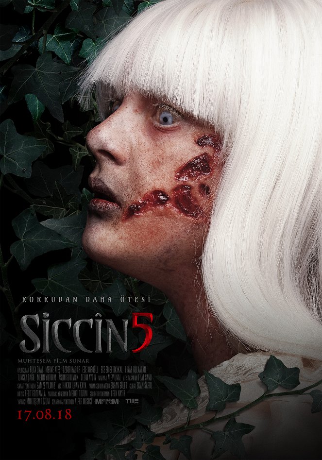 Siccin 5 - Plakátok